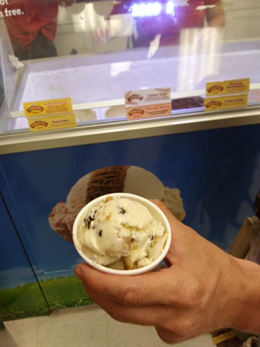 Unlimited free samples of Ice cream at Turkey Hill Experience